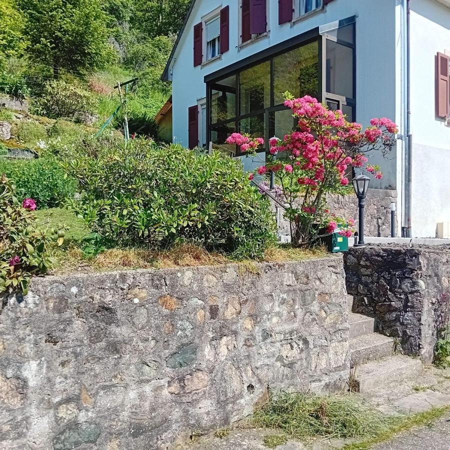 Gite Monts Et Merveilles Mollau Exterior photo