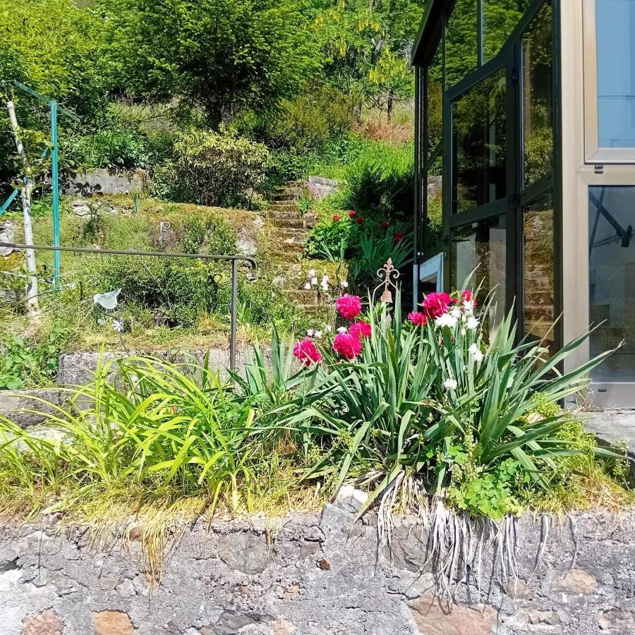 Gite Monts Et Merveilles Mollau Exterior photo
